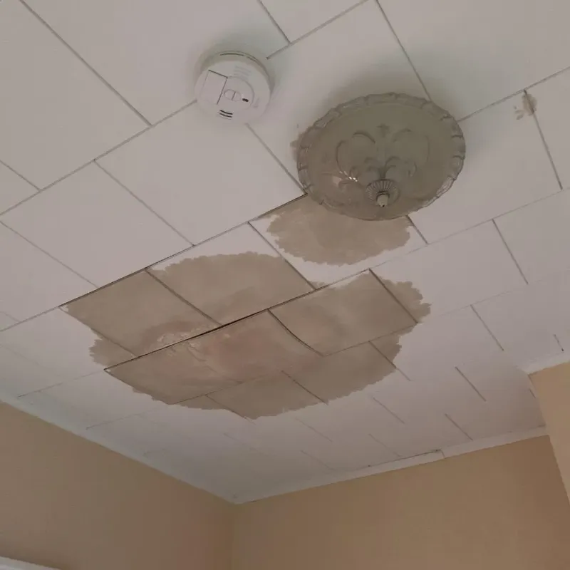 Ceiling Water Damage Repair in August, CA