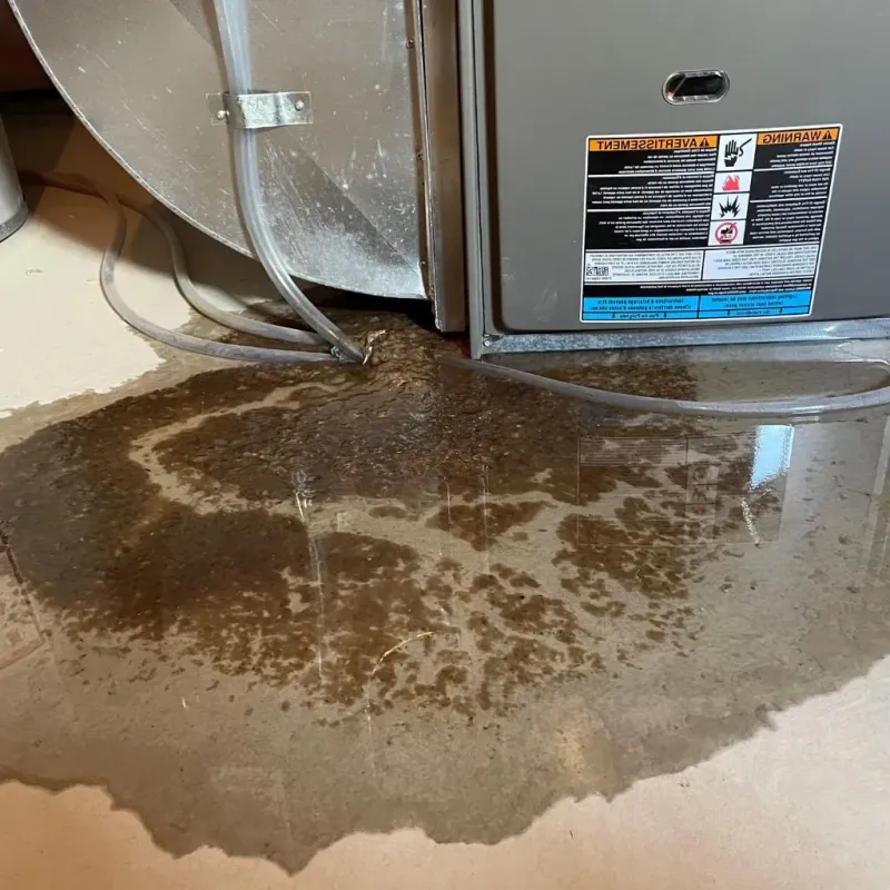 Pipe Burst and Leak Restoration in August, CA